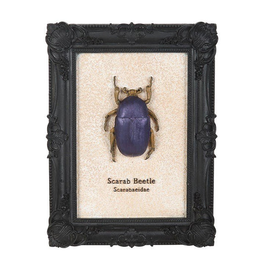 Scarab Beetle Framed Wall Art Print - Scents & Gifts UK