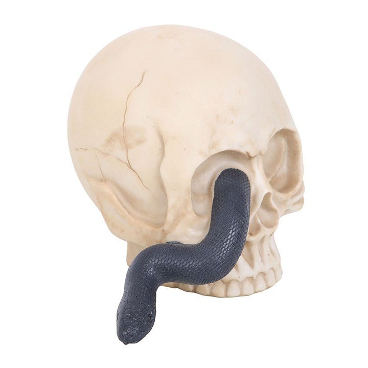 Skull Ornament with Snake - Scents & Gifts UK