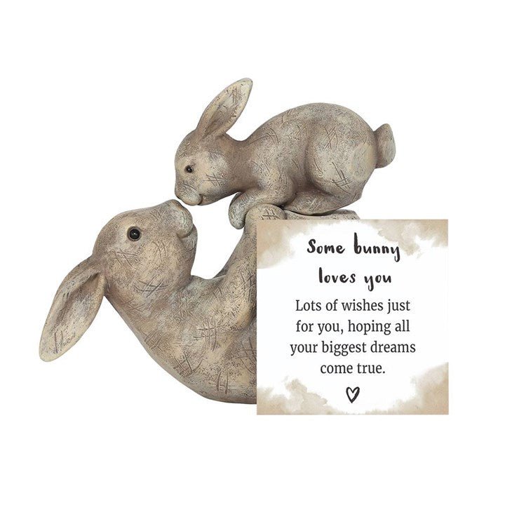 Some Bunny Loves You Ornament - Scents & Gifts UK
