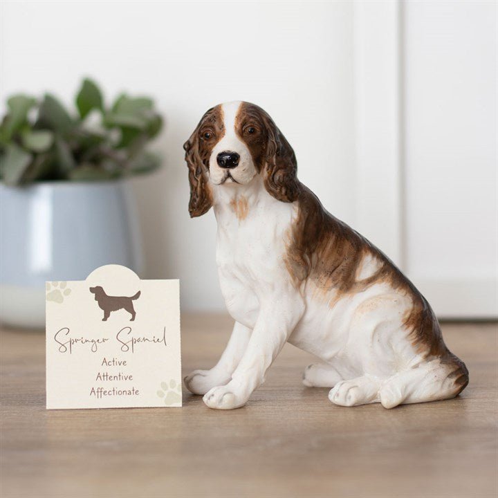 Springer Spaniel Dog Ornament - Scents & Gifts UK