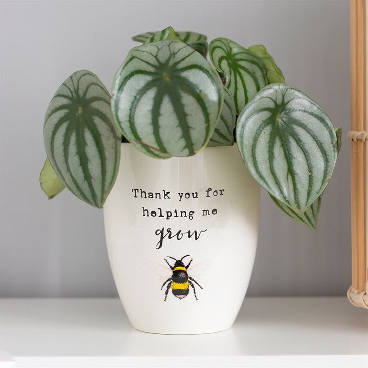 Thank You For Helping Me Grow Ceramic Plant Pot - Scents & Gifts UK