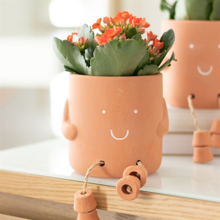 Thank You For Helping Me Grow Sitting Plant Pot Pal - Scents & Gifts UK