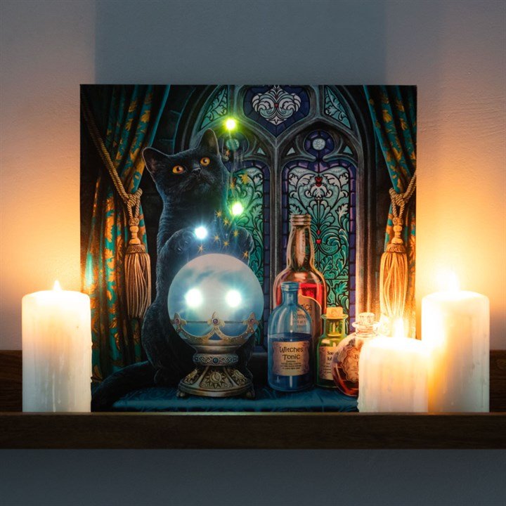The Witches Apprentice Light Up Canvas Plaque by Lisa Parker - Scents & Gifts UK