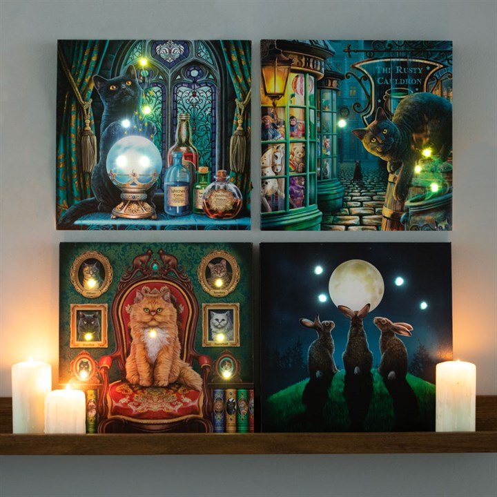 The Witches Apprentice Light Up Canvas Plaque by Lisa Parker - Scents & Gifts UK