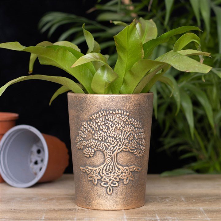 Tree of Life Bronze Terracotta Plant Pot by Lisa Parker - Scents & Gifts UK