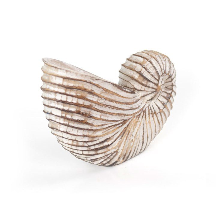 Whitewash Albasia Wood Shell Ornament - Scents & Gifts UK