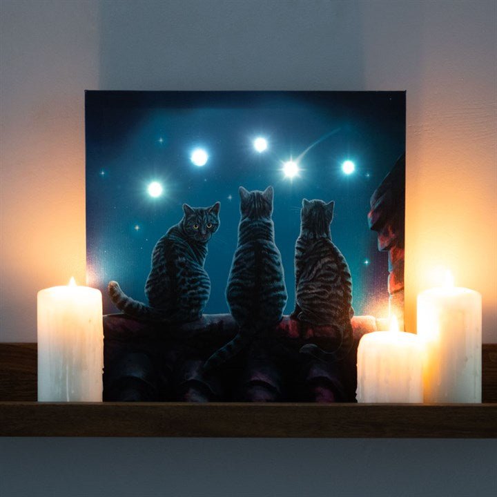 Wish Upon A Star Light Up Canvas Plaque by Lisa Parker - Scents & Gifts UK