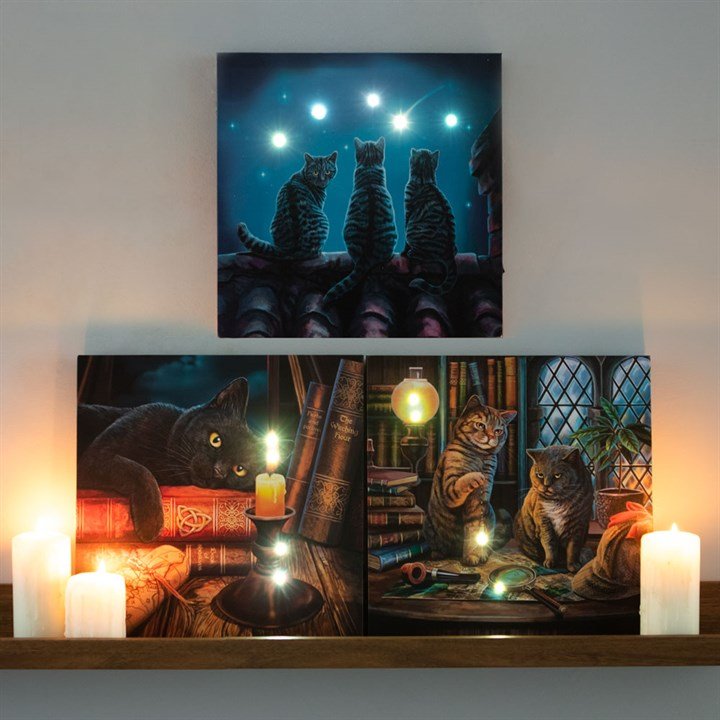 Wish Upon A Star Light Up Canvas Plaque by Lisa Parker - Scents & Gifts UK
