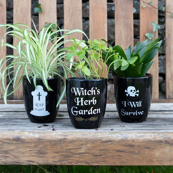 Witch's Herb Garden Plant Pot - Scents & Gifts UK