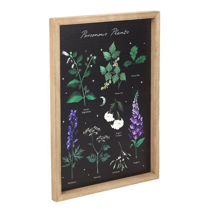 Poisonous Plants Framed Wall Art Print - Scents & Gifts UK