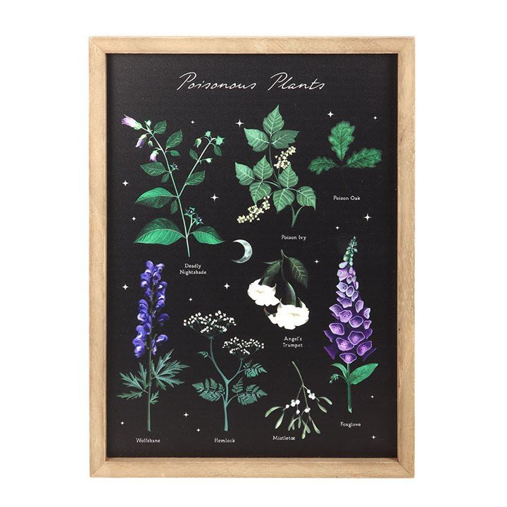 Poisonous Plants Framed Wall Art Print - Scents & Gifts UK