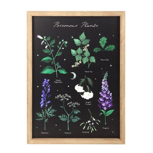 Poisonous Plants Framed Wall Art Print - Scents & Gifts UK