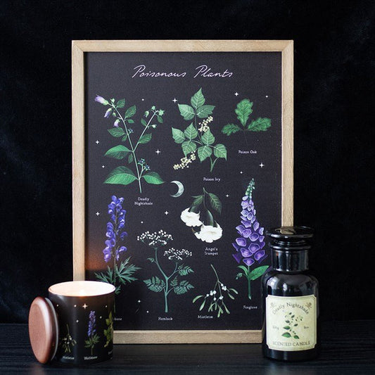 Poisonous Plants Framed Wall Art Print - Scents & Gifts UK