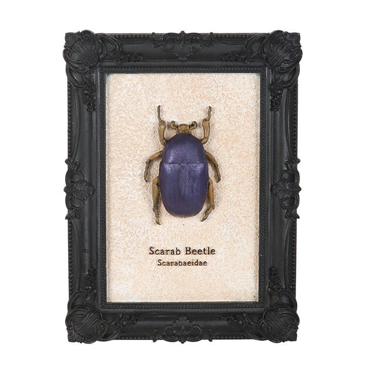 Scarab Beetle Framed Wall Art Print - Scents & Gifts UK