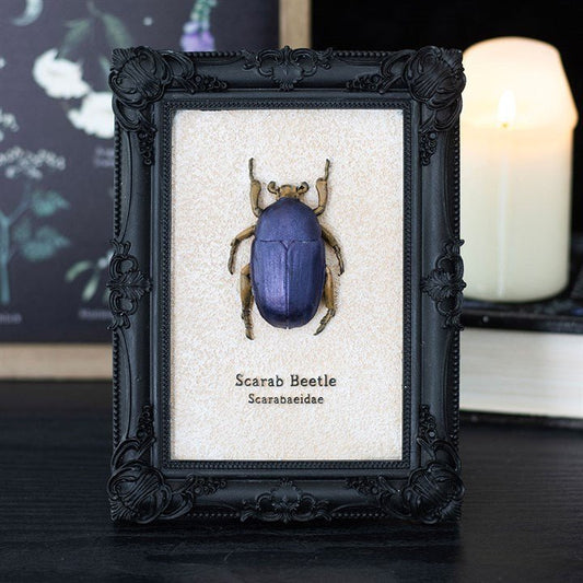 Scarab Beetle Framed Wall Art Print - Scents & Gifts UK