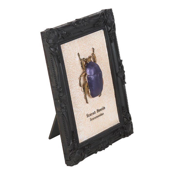 Scarab Beetle Framed Wall Art Print - Scents & Gifts UK