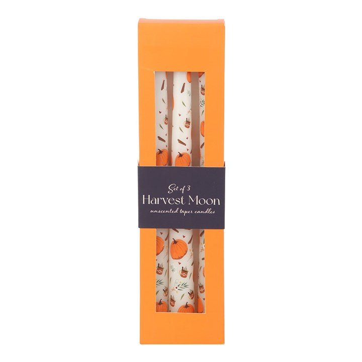 Set of 3 Pumpkin Taper Candles - Scents & Gifts UK