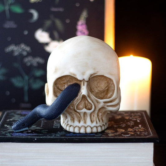 Skull Ornament with Snake - Scents & Gifts UK