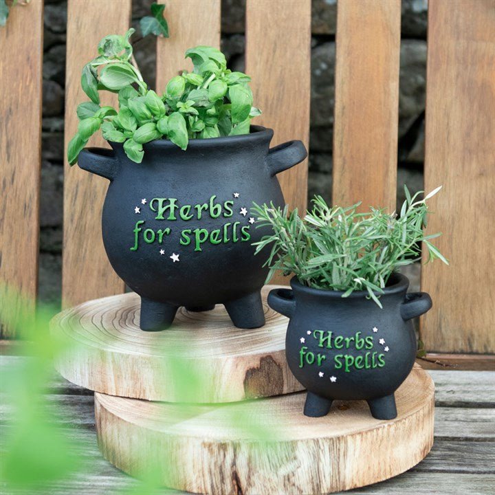 Small Herbs For Spells Cauldron Plant Pot - Scents & Gifts UK