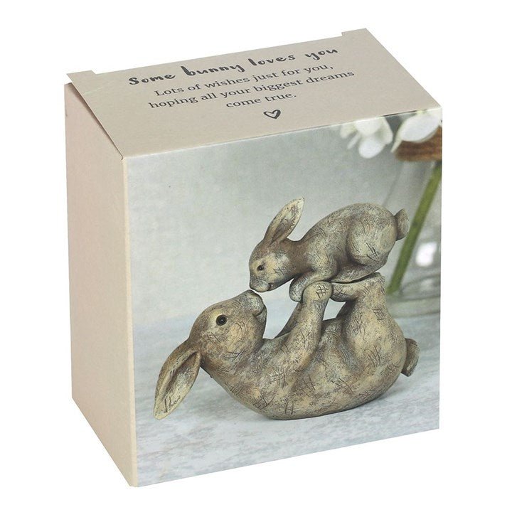 Some Bunny Loves You Ornament - Scents & Gifts UK