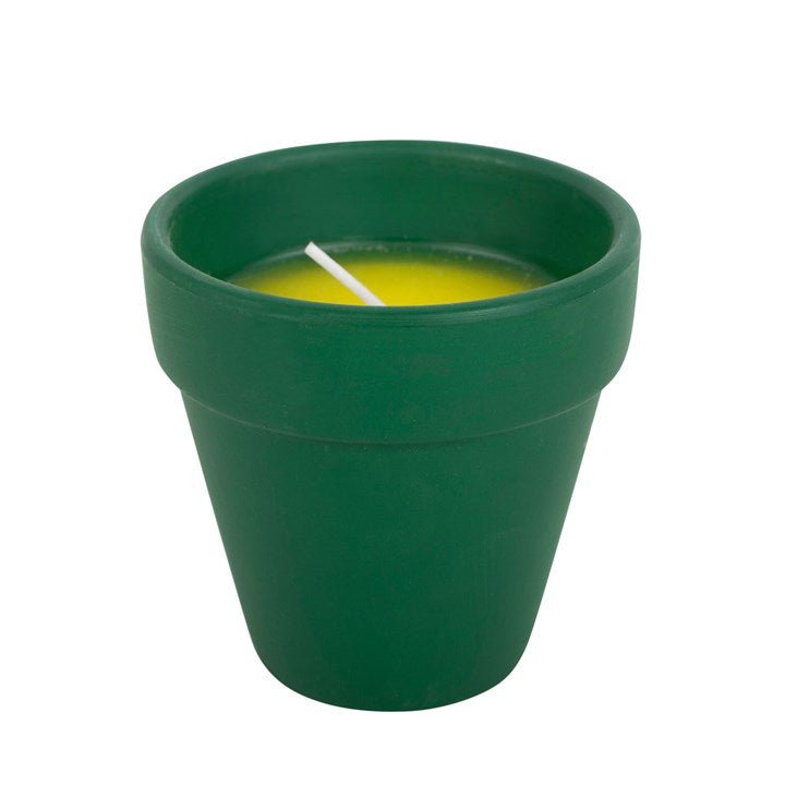 Thank You for Helping Me Grow Citronella Candle - Scents & Gifts UK