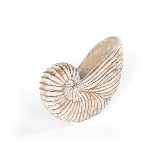 Whitewash Albasia Wood Shell Ornament - Scents & Gifts UK