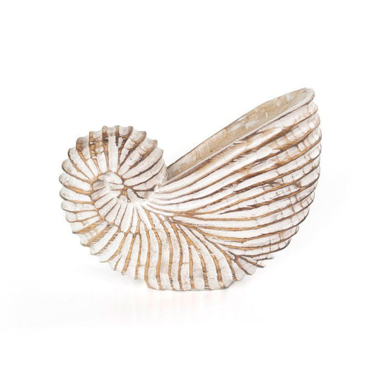 Whitewash Albasia Wood Shell Ornament - Scents & Gifts UK