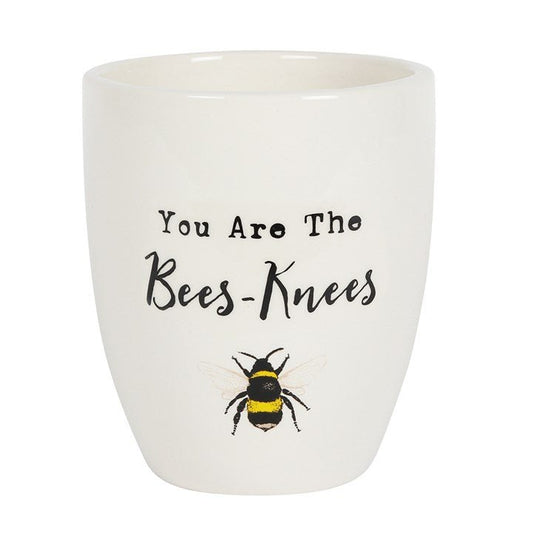 You Are the Bees Knees Ceramic Plant Pot - Scents & Gifts UK